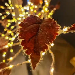 EMINZA Arbre lumineux 600 LED (H210 cm) Peuplier Elissa Blanc chaud Hot