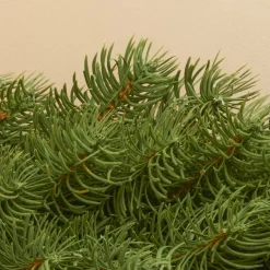 EMINZA Guirlande de sapin (300 cm - D25) Utah Luxe Vert sapin Sapin vert Clearance