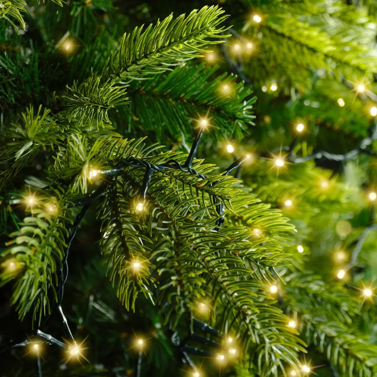 KAEMINGK Guirlande lumineuse 60 m 3000 LED câble vert Luxe Blanc chaud Champagne Blanc chaud Champagne - câble vert Discount