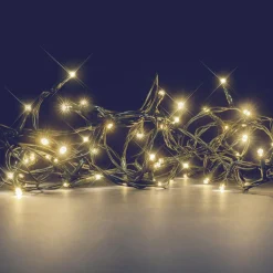 BLACHERE Guirlande lumineuse 8 m 128 LED câble vert Flashing light Blanc chaud Blanc Chaud - câble vert Online