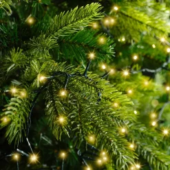 KAEMINGK Guirlande lumineuse 16 m 750 LED câble vert Luxe Blanc chaud Champagne Blanc chaud Champagne - câble vert Discount