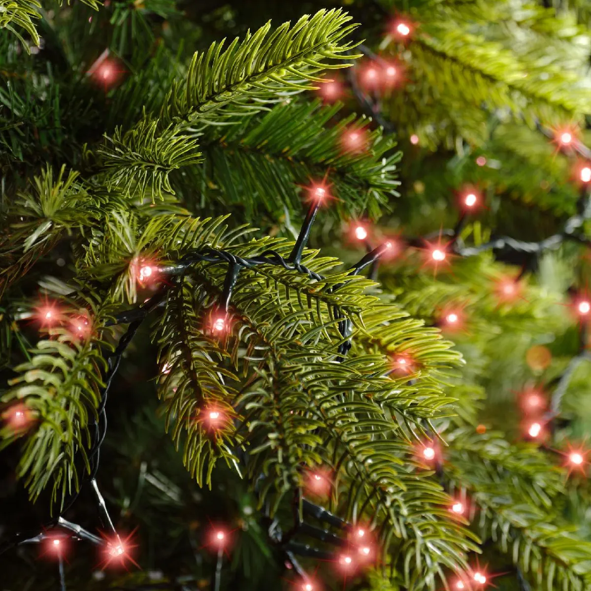 KAEMINGK Guirlande lumineuse 22,5 m 1000 LED câble vert Luxe Rouge Rouge - câble vert Best