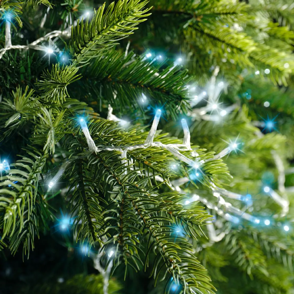 KAEMINGK Guirlande lumineuse 11 m 500 LED câble transparent Luxe Bicolore Blanc et bleu Bicolore Bleu / Blanc froid - câble transparent New