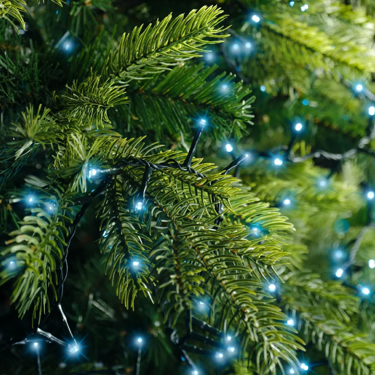 KAEMINGK Guirlande lumineuse 22,5 m 1000 LED câble vert Luxe Bleu Bleu - câble vert