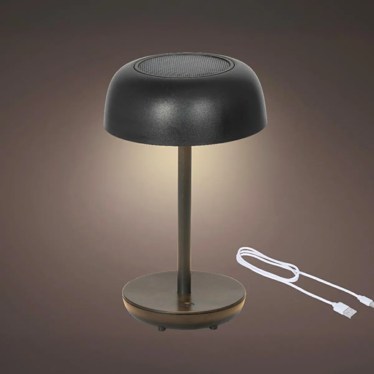 KAEMINGK Lampe de table solaire 100 lumens (H29 cm) Singapour Noir Sale