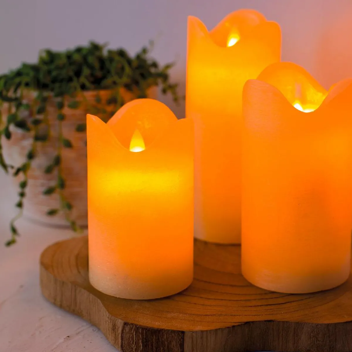 KAEMINGK Lot de 3 bougies LED vacillantes (D7,5 cm) Cire naturelle Crème Beige Online