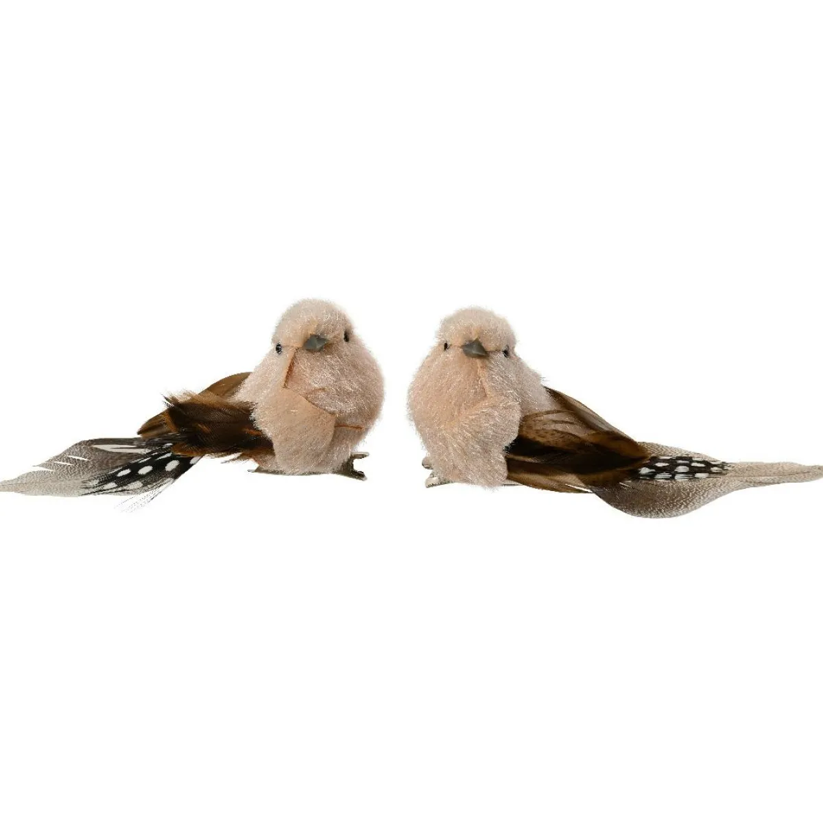 KAEMINGK Lot de 2 Oiseaux sur pince (L12 cm) Plume nature et crème Marron Discount