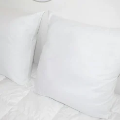 EMINZA Lot de 2 oreillers carrés moelleux (60 x 60 cm) Volume Blanc New