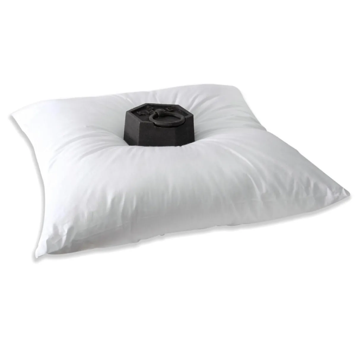 EMINZA Lot de 2 oreillers carrés moelleux (60 x 60 cm) Volume Blanc New
