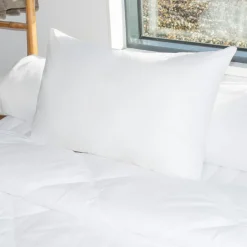 EMINZA Lot de 2 oreillers rectangulaires (45 x 70 cm) Moelleux Anti-acariens Blanc New