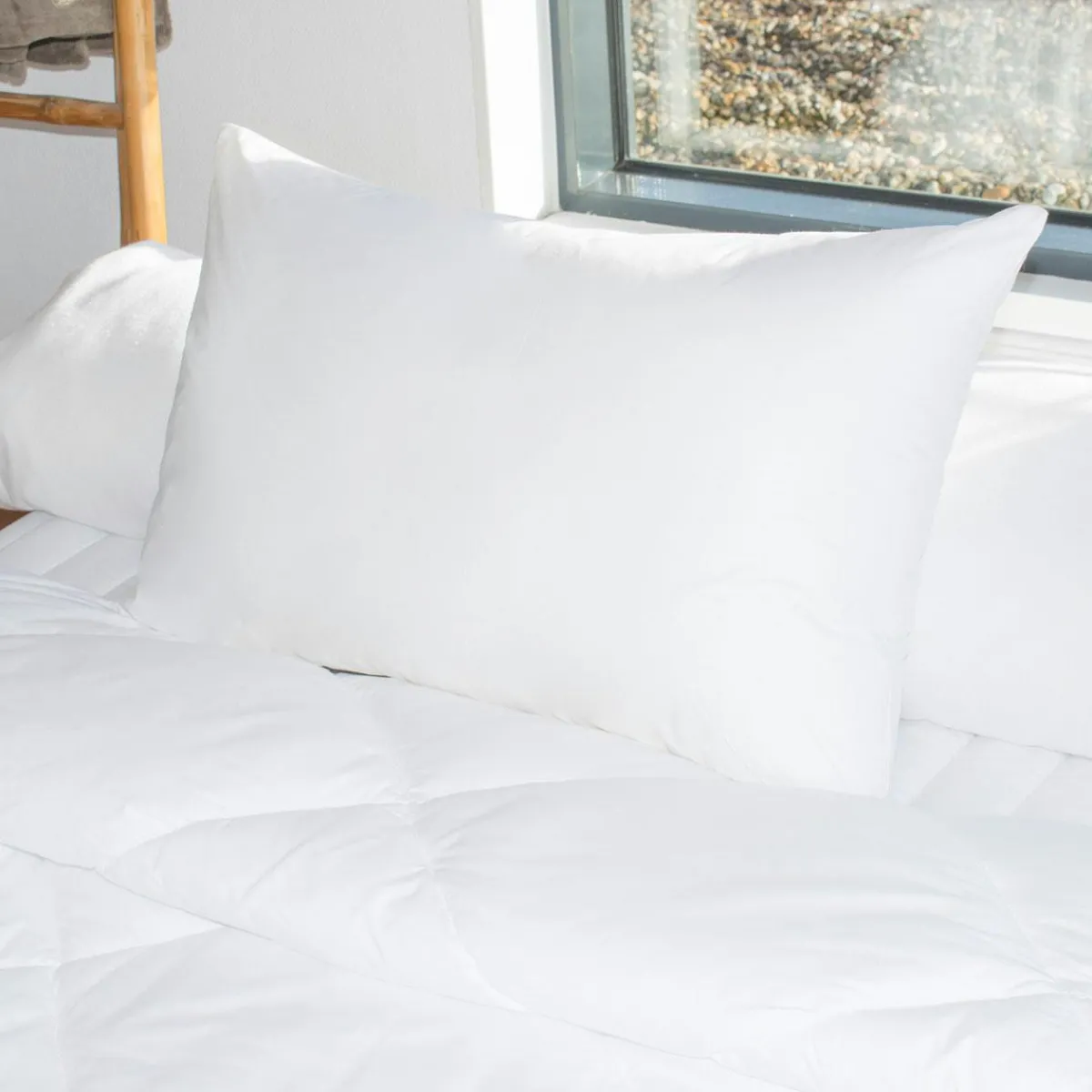 EMINZA Lot de 2 oreillers rectangulaires (45 x 70 cm) Moelleux Anti-acariens Blanc New