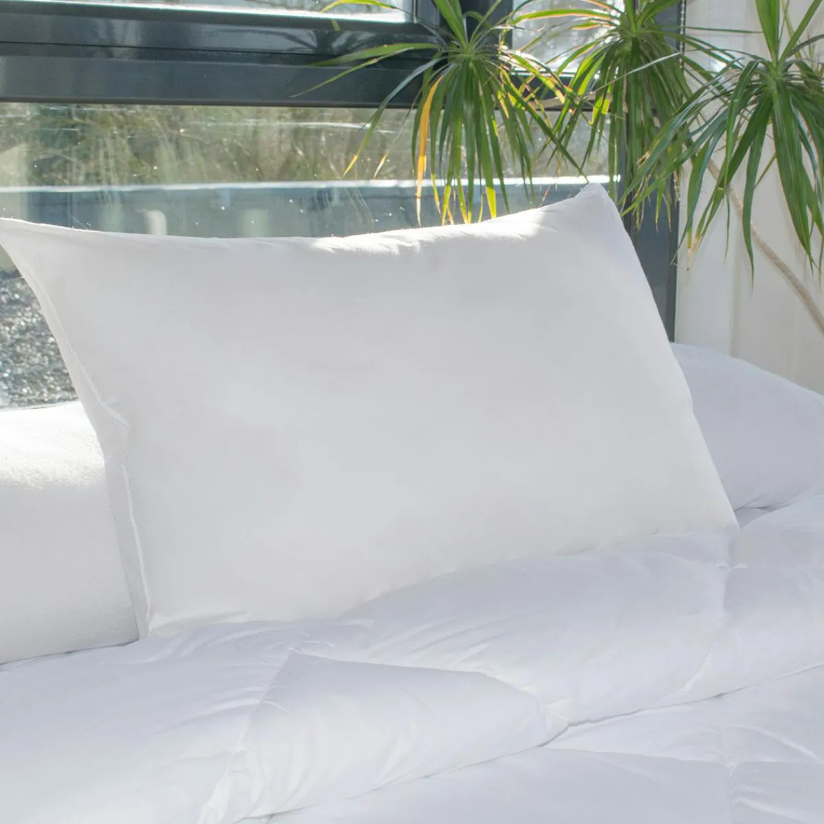 EMINZA Lot de 2 oreillers rectangulaires (45 x 70 cm) Moelleux Anti-acariens Blanc New