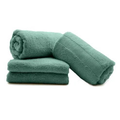douceur d'intu017drieur Lot de 4 serviettes de toilette coton (70 x 130 cm) Elegance céladon Vert Outlet