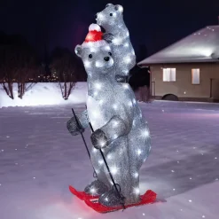 EMINZA Ours polaires lumineux 100 LED (H69 cm) Grizzly en ski Gris et Blanc froid Best