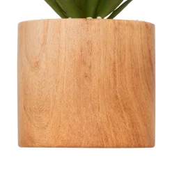 Atmosphera, cru017dateur d'intu017drieur Plante artificielle avec pot (H17 cm) Sao plante grasse Vert Discount