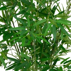 Atmosphera, cru017dateur d'intu017drieur Plante artificielle avec pot tressé (H100 cm) Bambou Ly Vert New