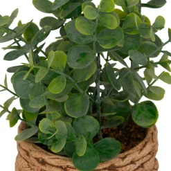 Atmosphera, cru017dateur d'intu017drieur Plante artificielle en pot cimenté (H27 cm) Eucalyptus Jaye Vert Sale
