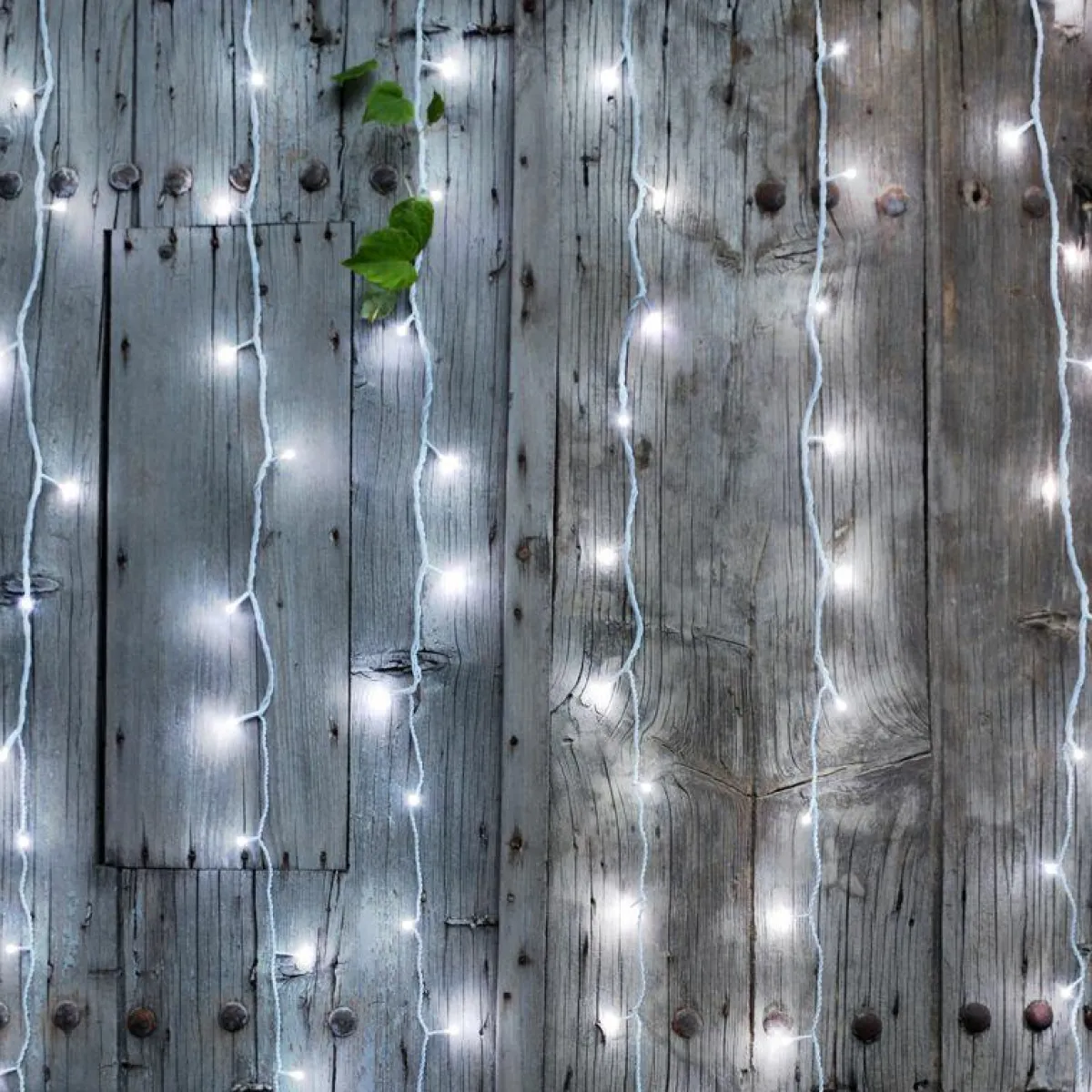 BLACHERE Rideau lumineux H2 m L2 m 96 LED Interconnectable Blanc froid Best