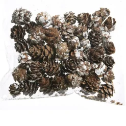 KAEMINGK Sachet de pommes de pin (45 gr) Naturel Outlet