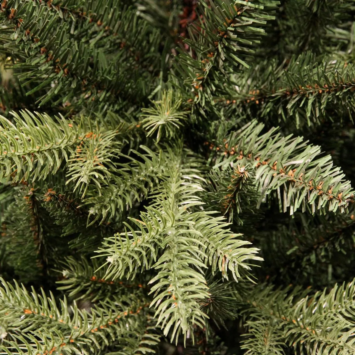 EMINZA Sapin artificiel de Noël (H240 cm) Allix Vert sapin Sapin vert Hot