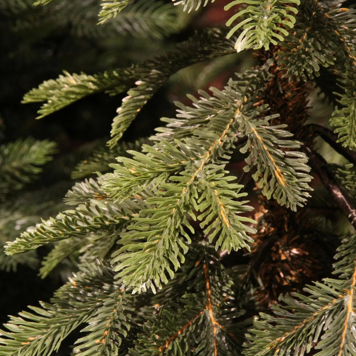 EMINZA Sapin artificiel de Noël (H210 cm) Sierra Vert sapin Sapin vert Hot