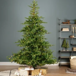 EMINZA Sapin de Noël artificiel lumineux 550 LED (H210 cm) Glorious Vert sapin Sapin vert lumineux Discount