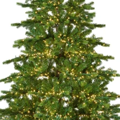 EMINZA Sapin de Noël artificiel lumineux 3000 LED (H180 cm) Caucasia Nordmann Vert sapin Sapin vert lumineux Online