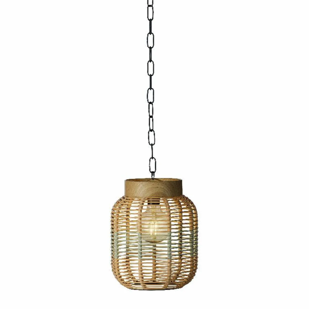 #N/A Suspension de jardin solaire résine tressée LED (D20 cm) Toscane Vert New