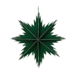 KAEMINGK Suspension de Noël en papier (D30 cm) Étoile glacée Vert romarin Sale