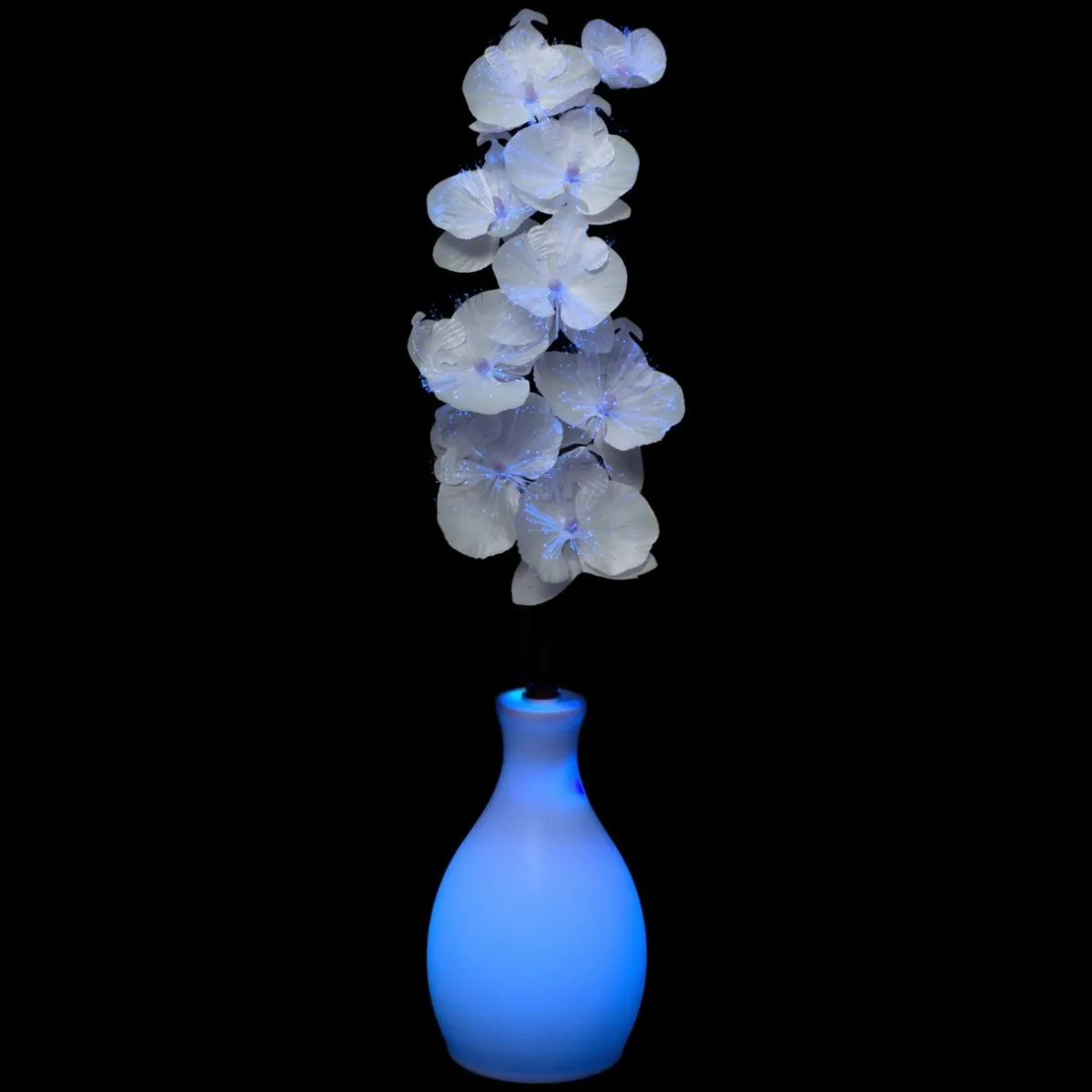 Feeric Lights & Christmas Vase orchidée lumineux à piles Multicolore Hot
