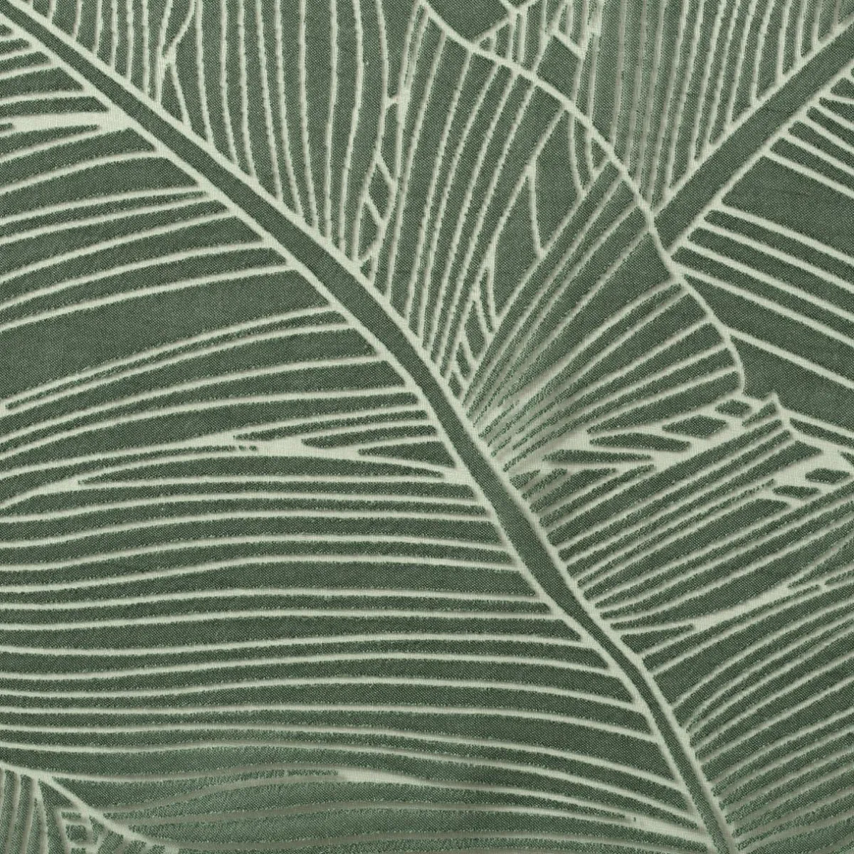 ATMOSPHERA Voilage œillets (140 x 240 cm) Feuille cèdre Vert